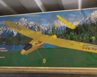 5090 SDM YellowBee RTF Electric Remote Control Flyer