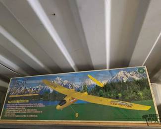 5090  SDM YellowBee RTF Electric Remote Control Flyer 