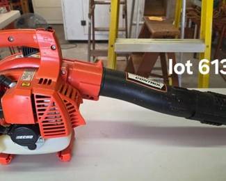 Echo gas blower