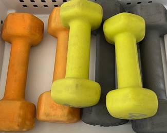 Hand Weights 