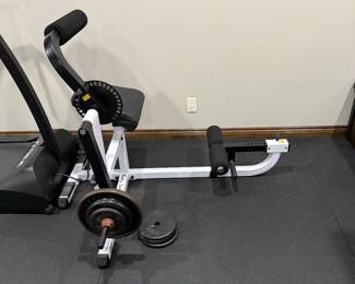 Body Solid Ab / Back Machine
