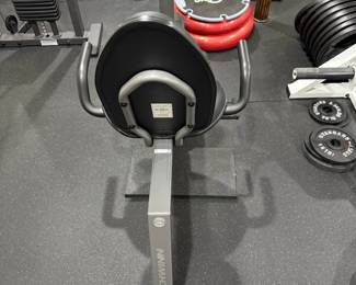 Schwinn Recumbent Bike