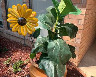 Decorative Plant