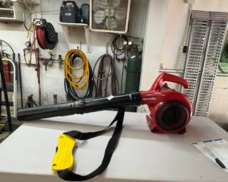 Leaf blower 