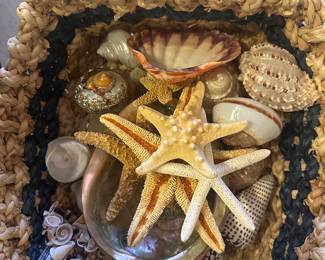 Lots of Beautiful Shells