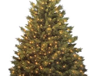 Lighted Macon King Pine Christmas Tree