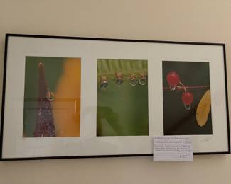 "Reflections of Life" BY Whit Bronaugh. Signed print and Numbered 129/950.  Bronaugh begain his work in photography while hiking trails.  He became inspired by change during each season.