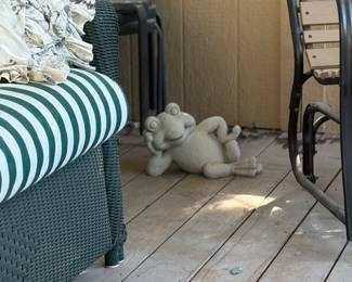 Our Frog is enjoying the porch