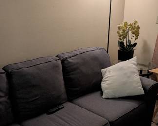 Originally a $600 couch. No pets
