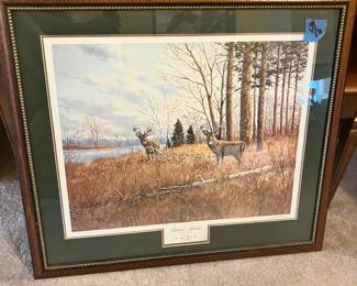 Wild life print