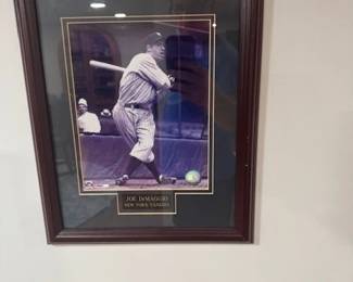 Joe D