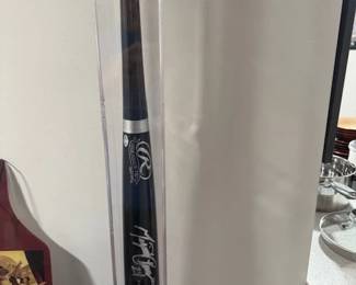 Miggy bat