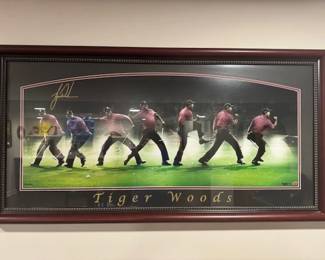 Tiger Woods