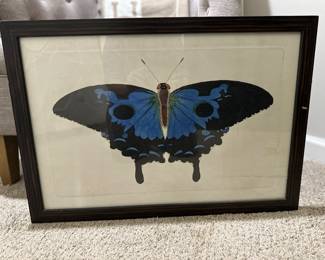 Art: Swallowtail Butterfly Print, Rooms to Go, 26" w x18.25" h, Framed