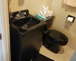 Original black sink & commode