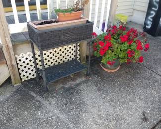 Planter; plants