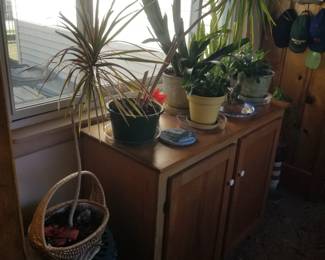 Houseplants; cabinet