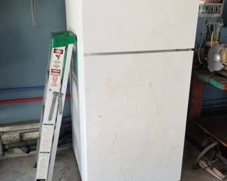 Garage fridge; stepladder