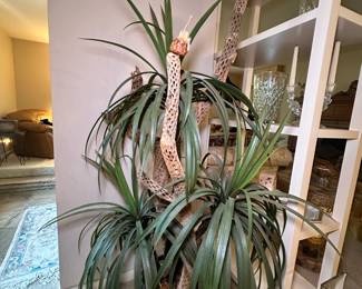 Plant in stand