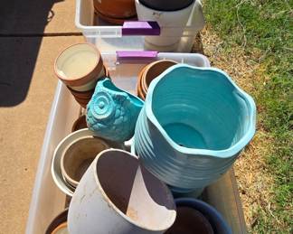 Your plants need a new pot!