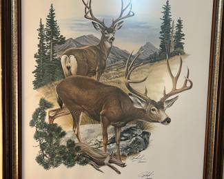 Richard Timm signed mule deer print