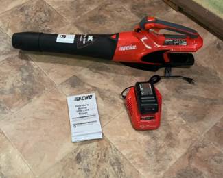 ECHO PB-2500 Cordless Leaf Blower