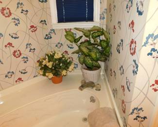SILK PLANTS