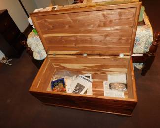 INTERIOR OF CHEST