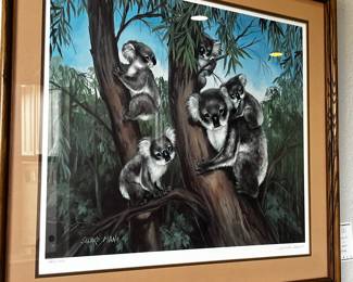 Framed Koala Print by Charles P. Mamer