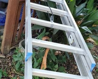 Werner Extension Ladder