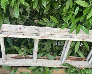 Long extension ladder