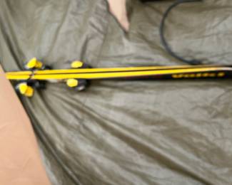 skis