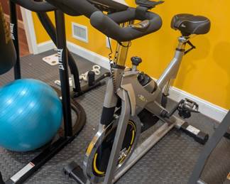 everlast indoor cycling bike