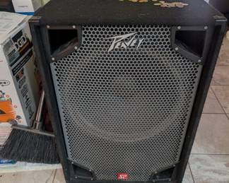 Peavey SP 118 18" Subwoofer. 