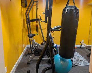 everlast punching bag
