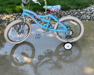 NEXT Misty girls youth bike