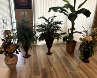 Various  Decorative Plants.