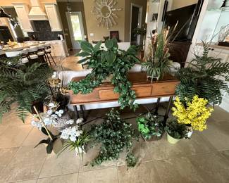 Various Decorative Plants.