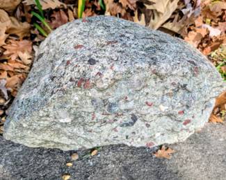 Michigan puddingstone