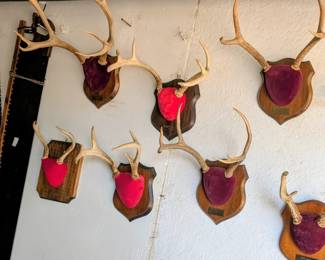 More antlers on plaques....