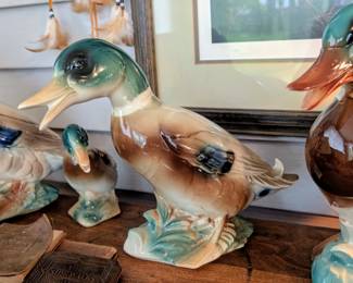 Vintage Royal Copley mallard duck displays.