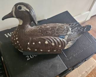 Plastic decoy