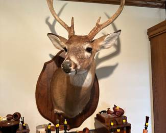 Deer head trophy mount 