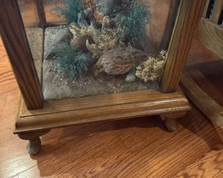 Shadow box side table with 3 taxidermy birds 