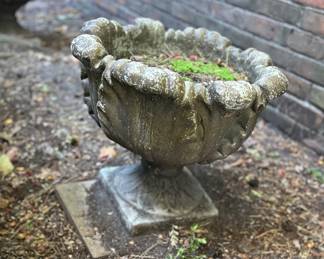 Cement planters 