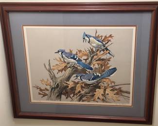 Blue jay art 