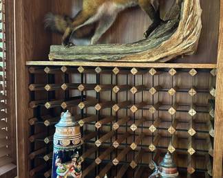 Life size Fox , taxidermy 