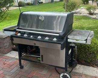 Weber Summit Gold Gas Grill 