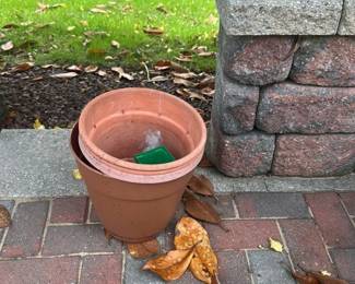 Terracotta and White Decorative Planters 