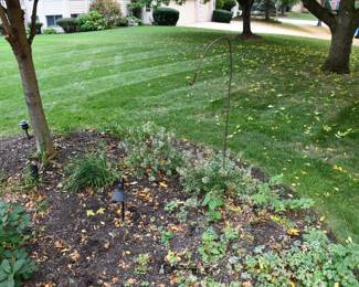 639Back Yard
